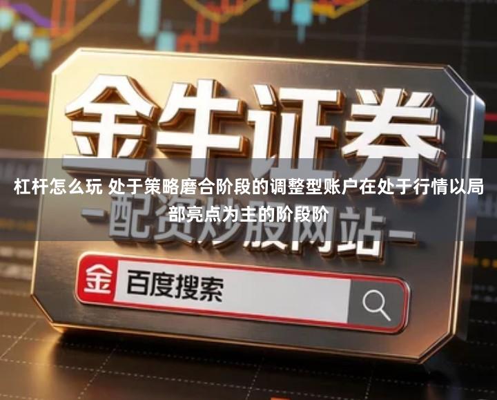 杠杆怎么玩 处于策略磨合阶段的调整型账户在处于行情以局部亮点为主的阶段阶