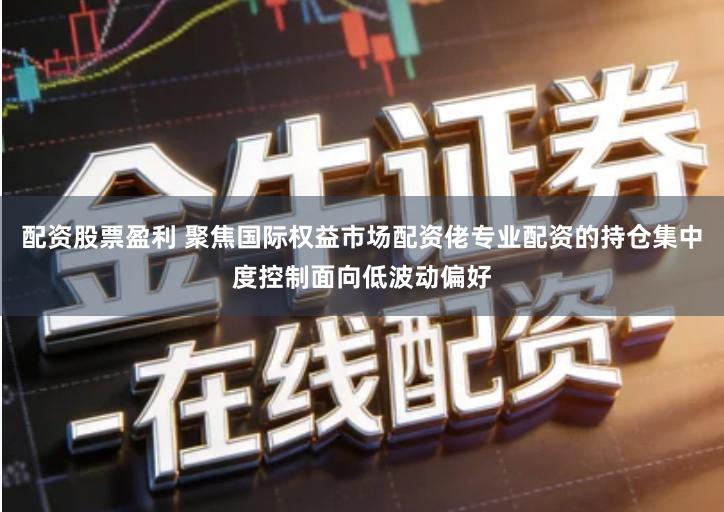 配资股票盈利 聚焦国际权益市场配资佬专业配资的持仓集中度控制面向低波动偏好